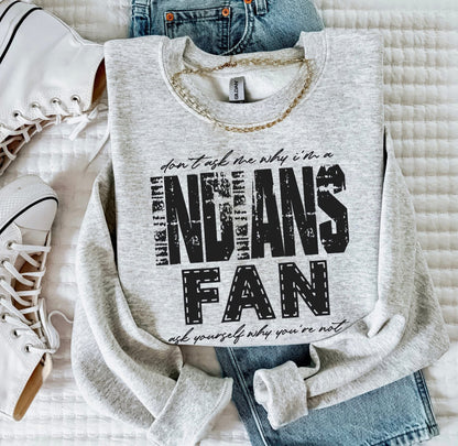 Indians (Don't Ask Me Why Spirit Mascot) - DTF