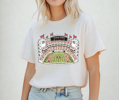 Georgia (College Stadiums) - DTF