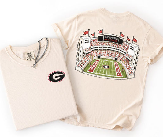 Georgia (College Stadiums) - DTF