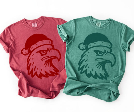 Hawks (Christmas Doodle Mascot) - DTF
