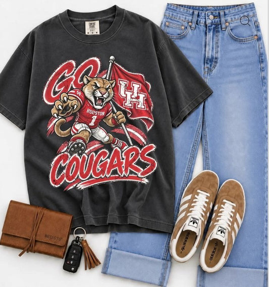 Houston (Vintage Distressed Go Mascots) - DTF