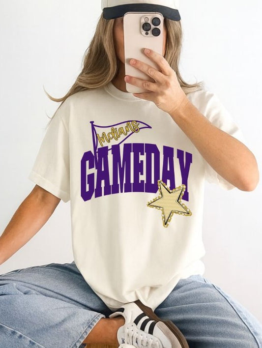 Indians - Purple/Vegas Gold (Game Day Flag Mascots) - DTF