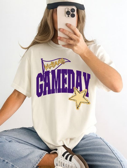Indians - Purple/Yellow Gold (Game Day Flag Mascots) - DTF