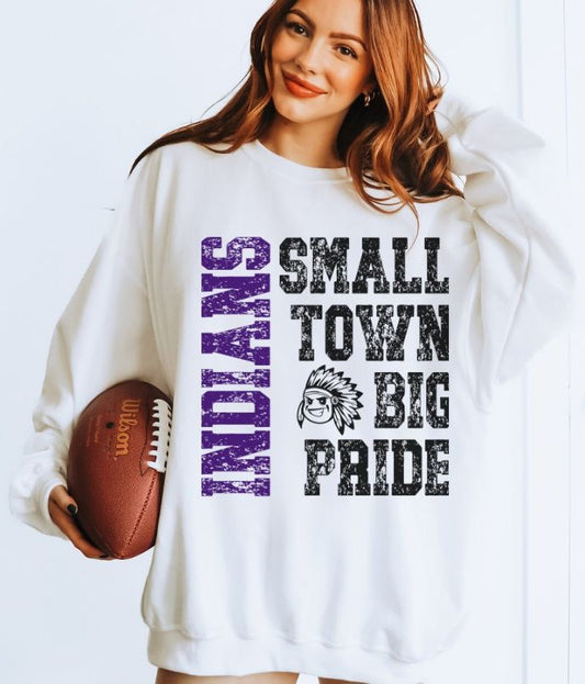 Indians - Purple (Small Town Big Pride Mascots) - DTF
