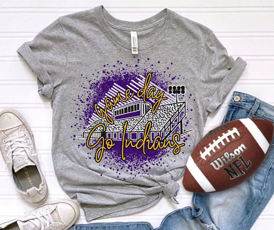 Indians - Purple/Yellow Gold (Game Day Stadium Mascots) - DTF
