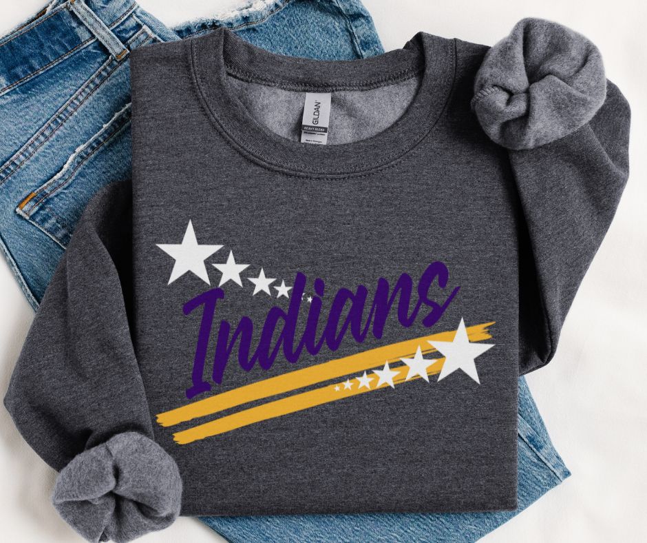 Indians - Purple/Yellow Gold (Spirit Stars Mascots) - DTF