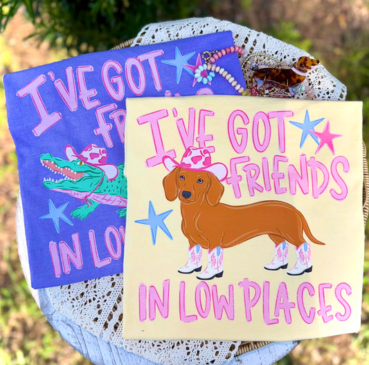 I've Got Friends in Low Places - DTF