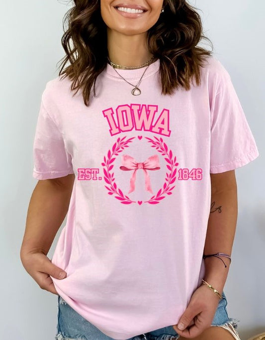 Iowa (Coquette Pink Bows) - DTF