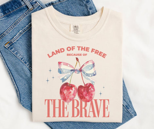 Land of the Free - DTF