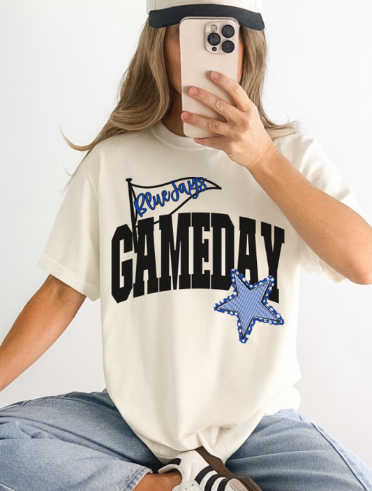 BlueJays - Royal Blue/Black (Game Day Flag Mascots) - DTF