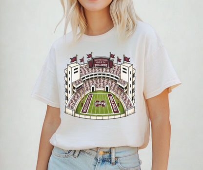 Mississippi State (College Stadiums) - DTF