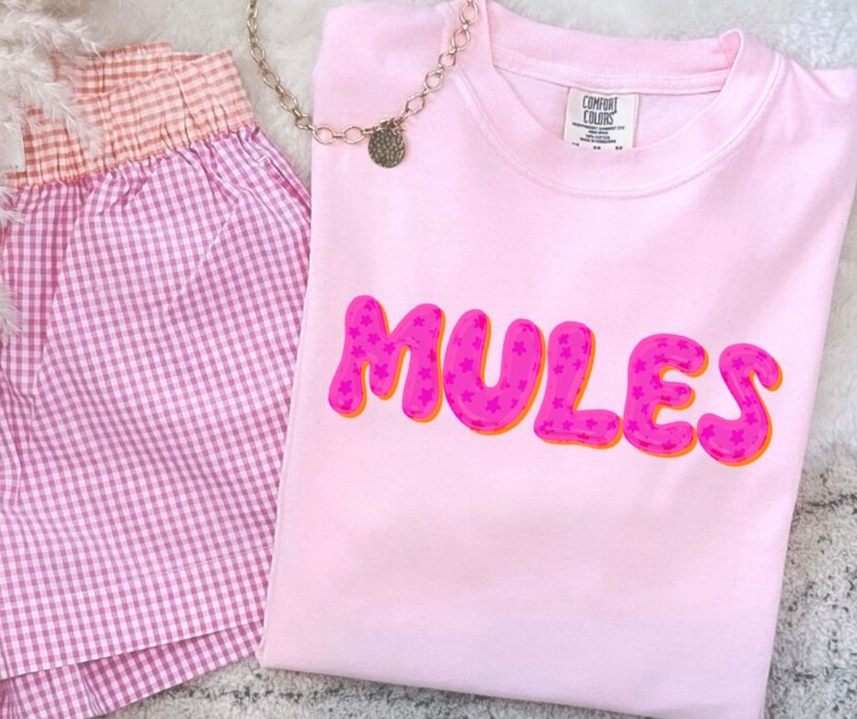 Mules (Pink Bubble Stars Mascot) - DTF