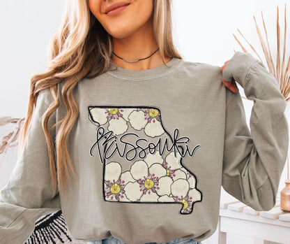 Missouri (Whimsy State) - DTF