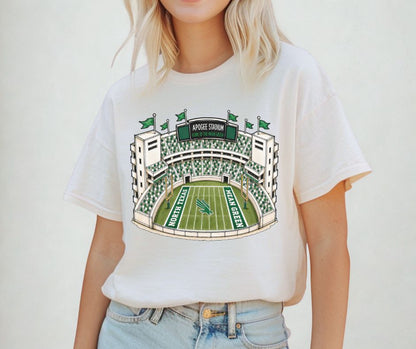 North Texas (College Stadiums) - DTF