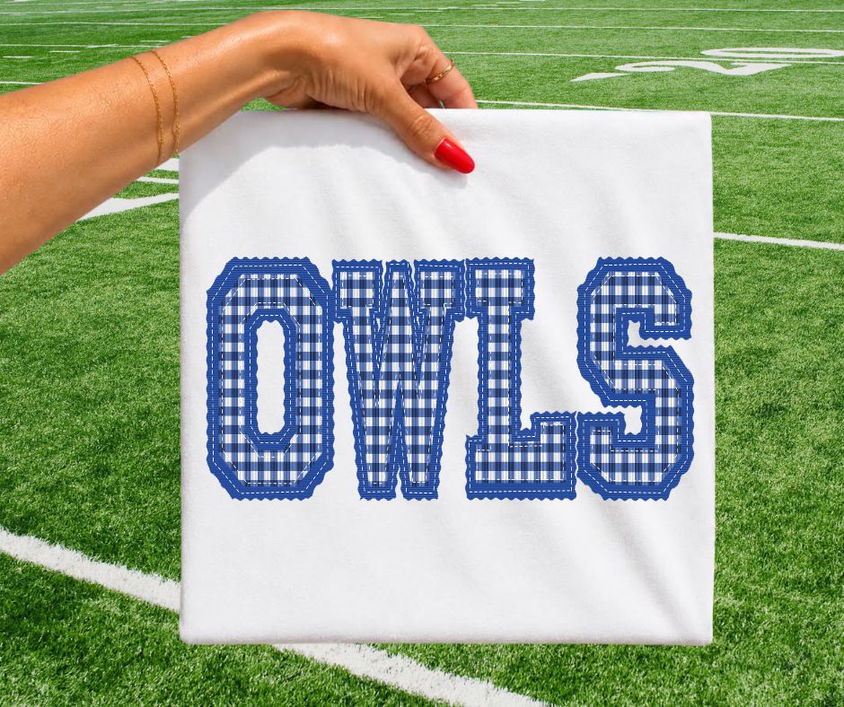 OWLS - Royal Blue gingham (Letterman Stitch School Letters) - DTF