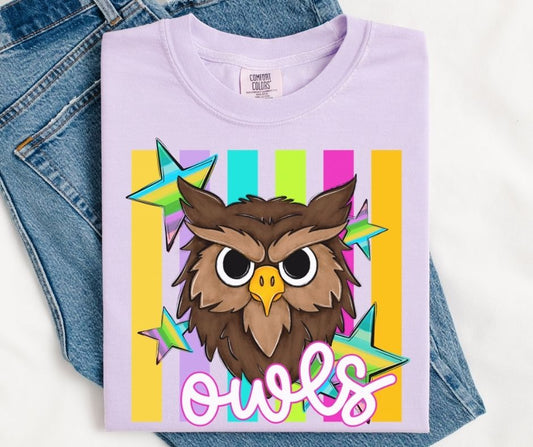 Owls (Colorful Stripes Mascot) - DTF