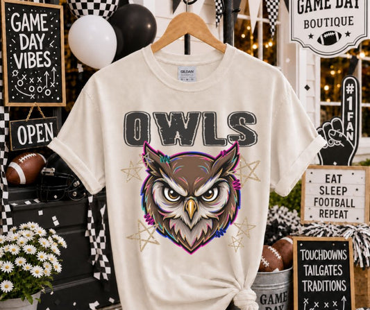 Owls (Grunge Varsity Mascot) - DTF