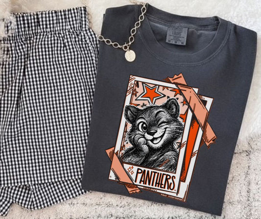 Panthers - Orange (Cutie Patootie Mascots) - DTF