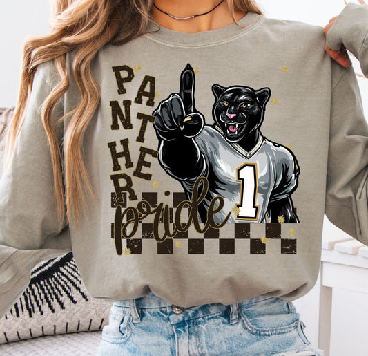 Panthers (Grunge Pride Mascots) - DTF