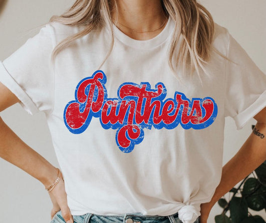 Panthers (retro shadow red/blue) - DTF