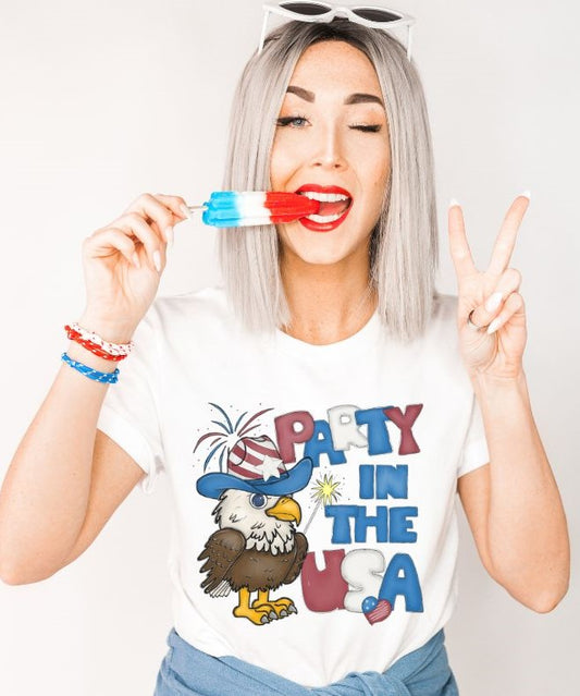Party in the USA  - DTF
