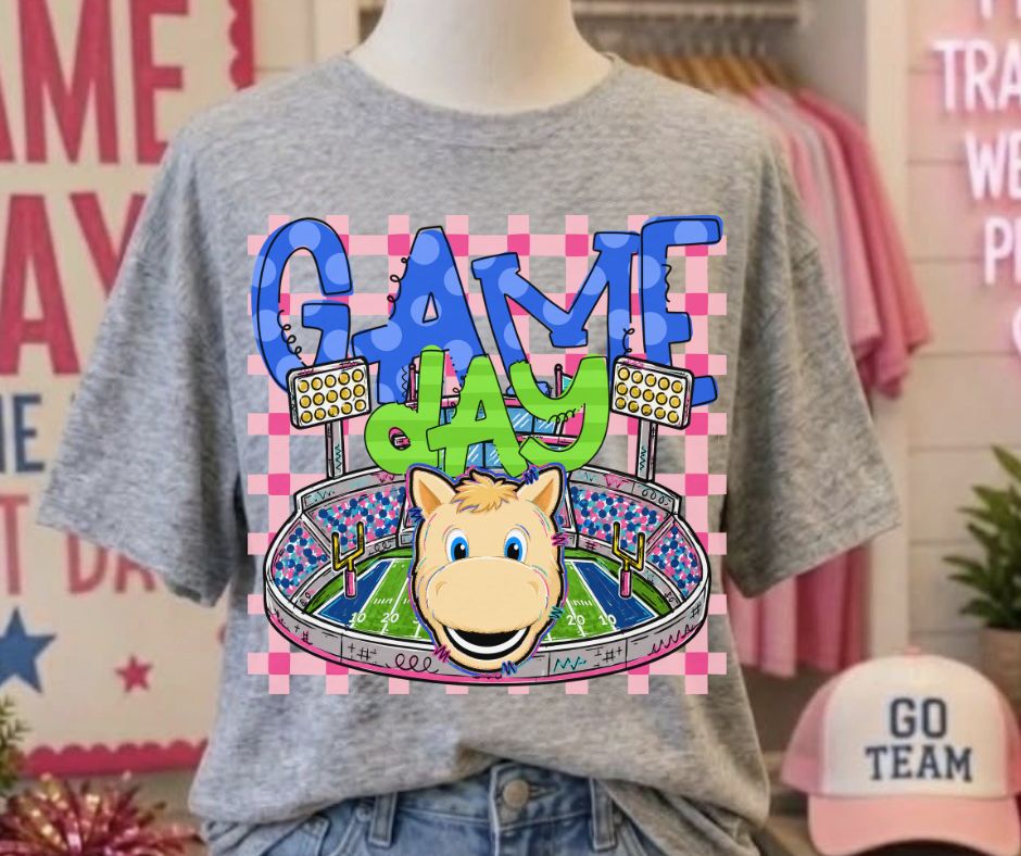 Sooners (Game Day Stadium Plaid Mascot) - DTF