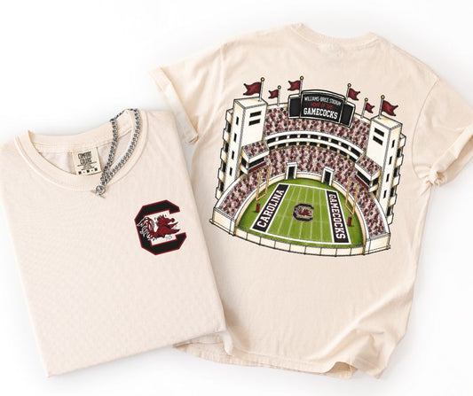 South Carolina (College Stadiums) - DTF