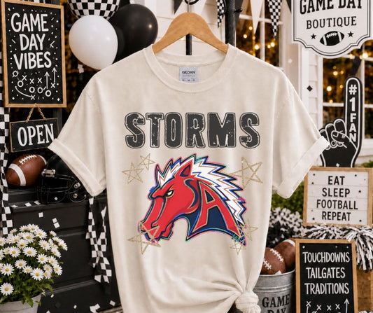 Storms (Grunge Varsity Mascot) - DTF