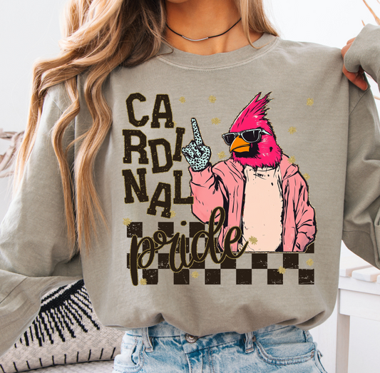 Cardinals (Grunge Pride Mascots) - DTF
