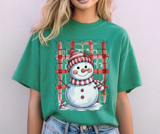 Snowman Frame - DTF