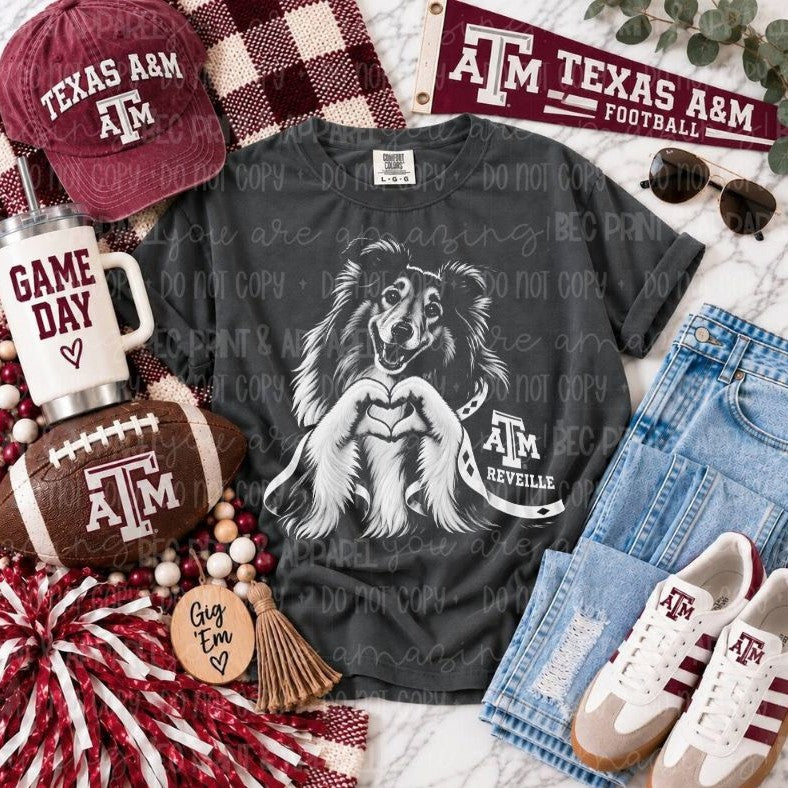 A&M (Heart Hands College) - DTF