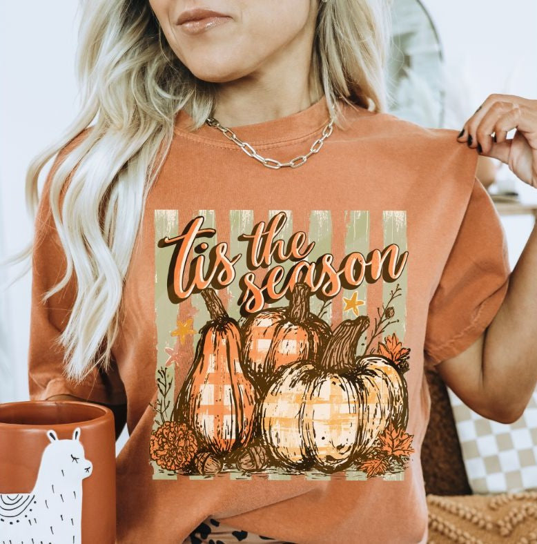 Tis the Season (Pumpkins and Stripes) - DTF