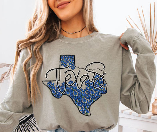 Texas (Whimsy State) - DTF