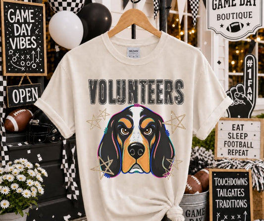 Volunteers (Grunge Varsity Mascot) - DTF
