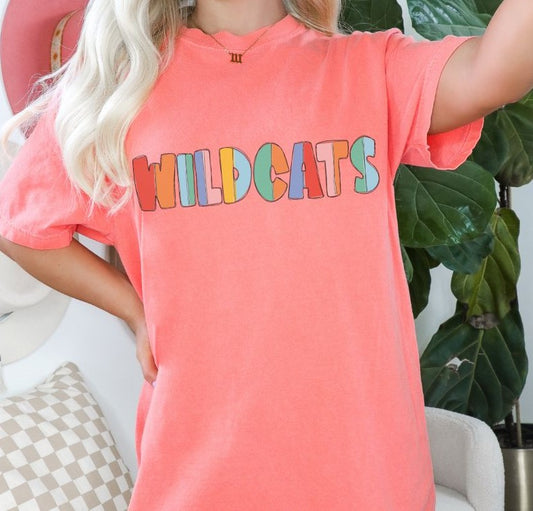Wildcats Color Block - DTF